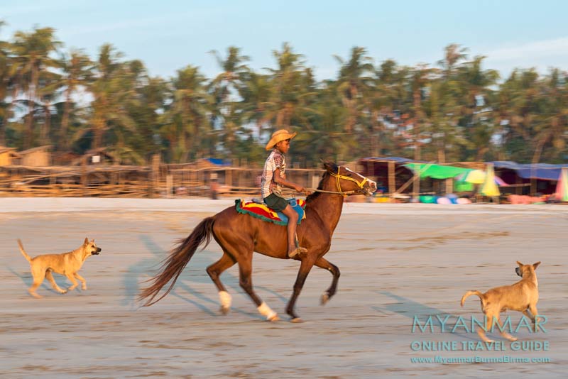 Myanmar Reisetipps | Tollwut | Hunde am Ngwe Saung Beach
