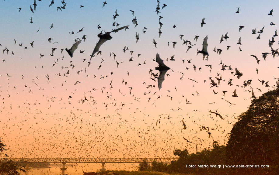 Reisetipp für Myanmar: Fledermaushöhle in Hpa-an