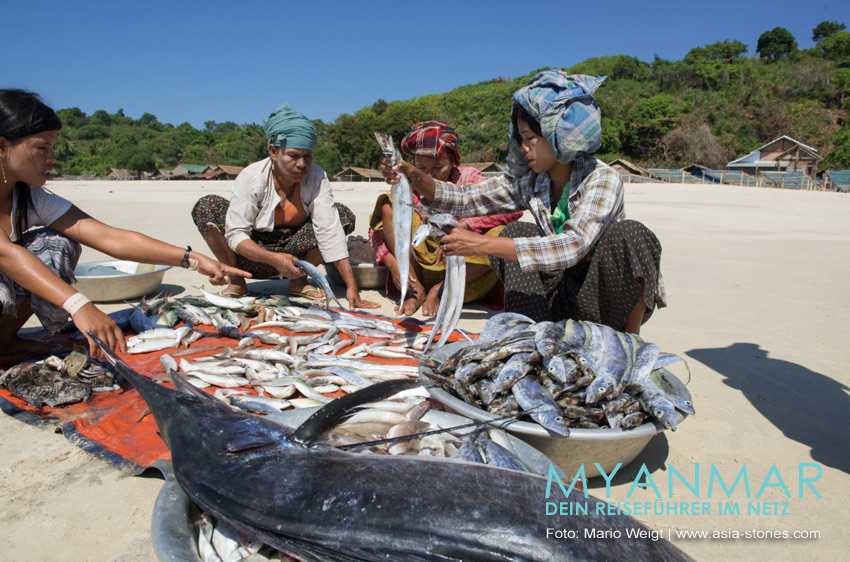 Marktfrauen mit frischem Fisch im Dorf Paw La Mor, nahe dem Strand Tizit auf Dawei Peninsula