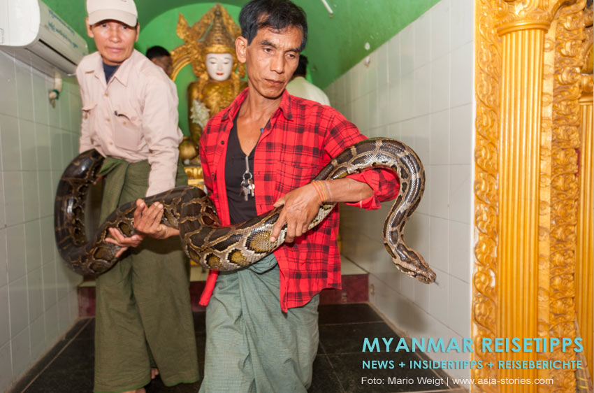 Myanmar Reisetipps | Umgebung von Mandalay | Schlangentempel Paleik