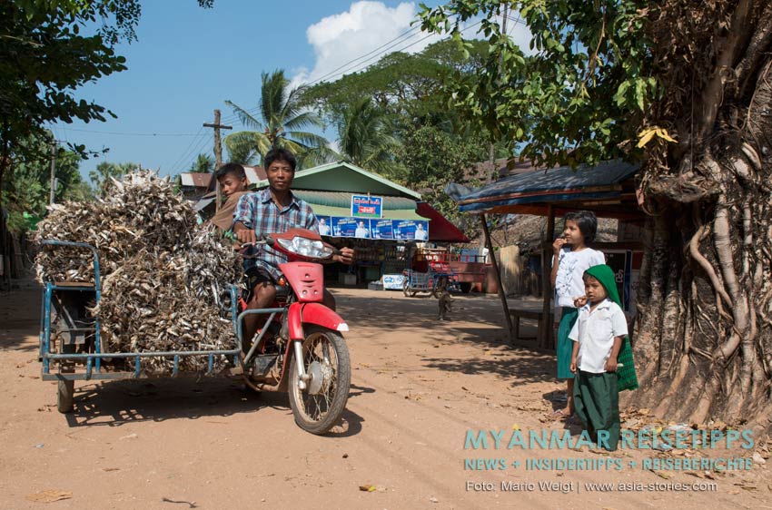 Transport von Trockenfisch in die Stadt Ye zum Markt