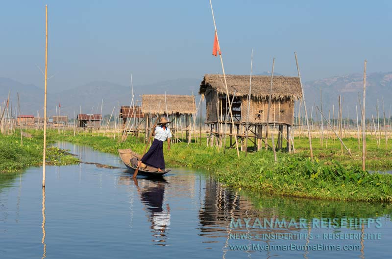 Myanmar: Einbeinruderer auf dem Inle-See zwischen den schwimmenden Gärten