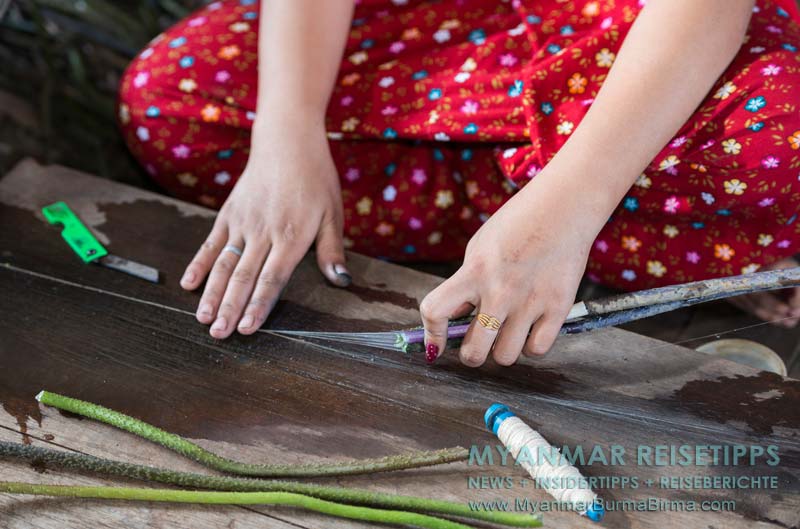 In der Lotusweberei werden geschnittene Lotusstängel auseinandergezogen und die vielen kleinen Fäden mit den Fingern zu einem Faden zusammengerollt.