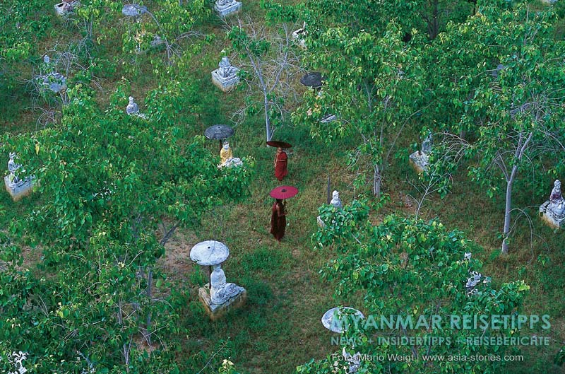 Mönche mit einem roten Bambusschirm im Feld der 1.000 Buddhas in Monywa