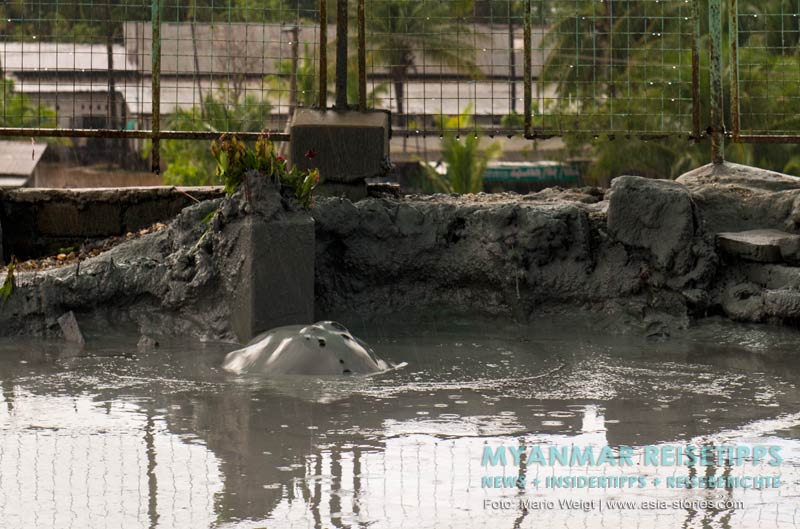 Myanmar Reisetipps | Magwe | Schlammvulkan Nga Ka Pwe Taung