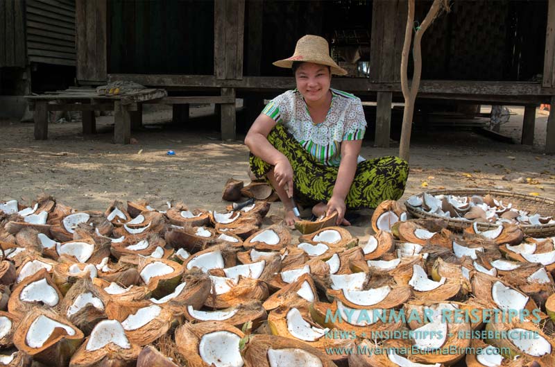 Myanmar, Ngwe Saung, Kokosnüsse sind der Exportschlager in Sinma