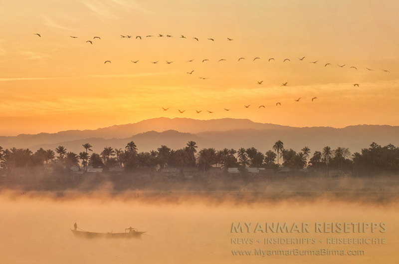 Myanmar Reisetipps | Flussfahrt Bhamo nach Mandalay | Kraniche kurz vor Sonnenaufgang
