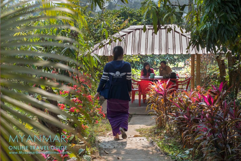 Myanmar Reisetipps | Hsipaw | Mister Popcorn's Garden