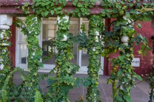 Myanmar Reisetipps | Pyin U Lwin | Candacraig Villa