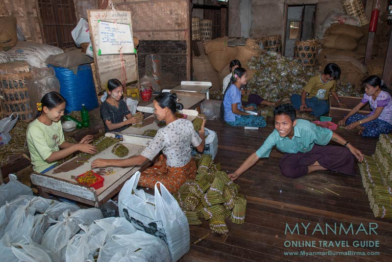 Besuch einer Cherootmanufaktur in Bago (Myanmar)