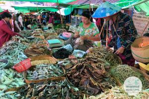 Myanmar Reisetipps | Pindaya | Fünf-Tage-Markt am See