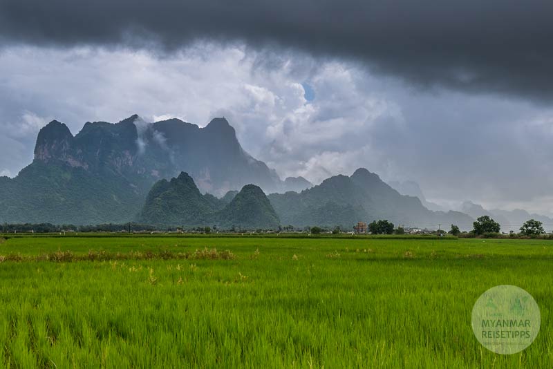 Reisfelder vor dem Mt. Zwekabin nahe der Stadt Hpa-an