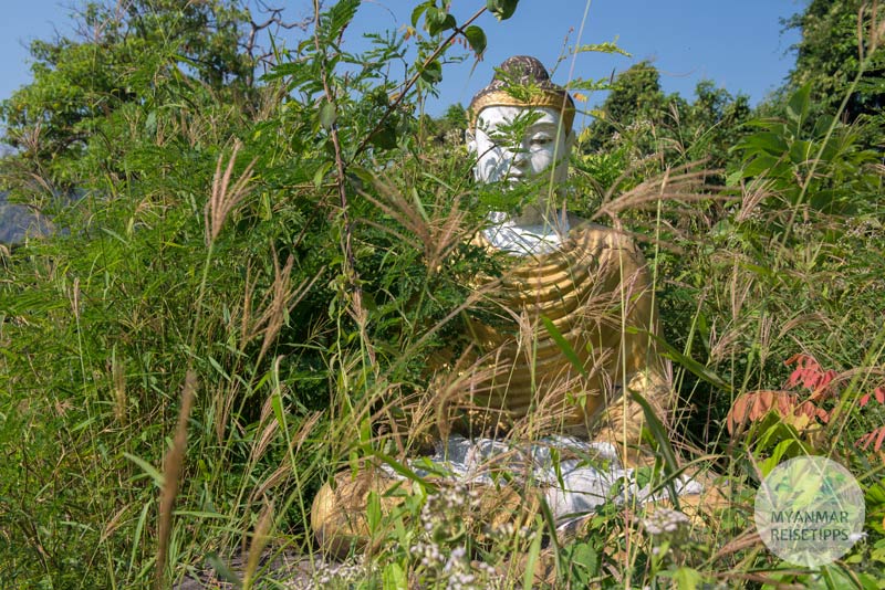 Mit Gras bewachsender Buddha Lumbini Park. Hier befinden sich über 1.000 Buddha-Statuen.
