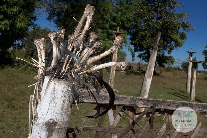Myanmar Reisetipps | Loikaw | Mit Hühnerknochen sagen Schamanen die Zukunft voraus.
