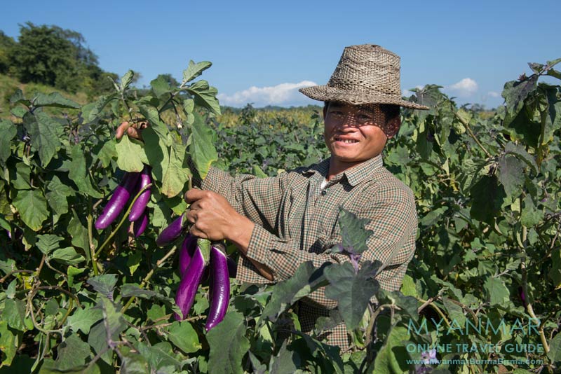 Myanmar Reisetipps | Hsipaw | Auf dem Weg zum Wasserfall Nam Tok