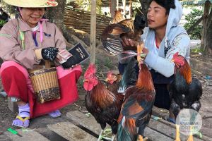 Myanmar Reisetipps | Loikaw | Markt in Demoso