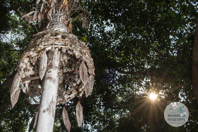 Myanmar Reisetipps | Loikaw | Totempfähle im Dorf Dor So Bee