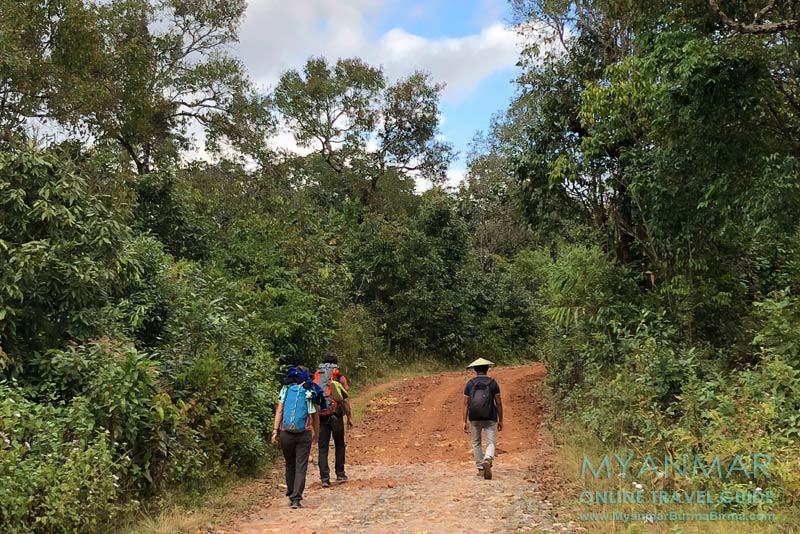 Myanmar Reisetipps | Umgebung von Kalaw | TrekkingMyanmar Reisetipps | Umgebung von Kalaw | Trekking