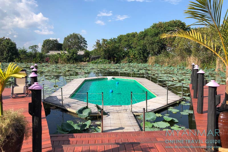 Schwimmender Pool im Lotusteich in der View Point Lodge 