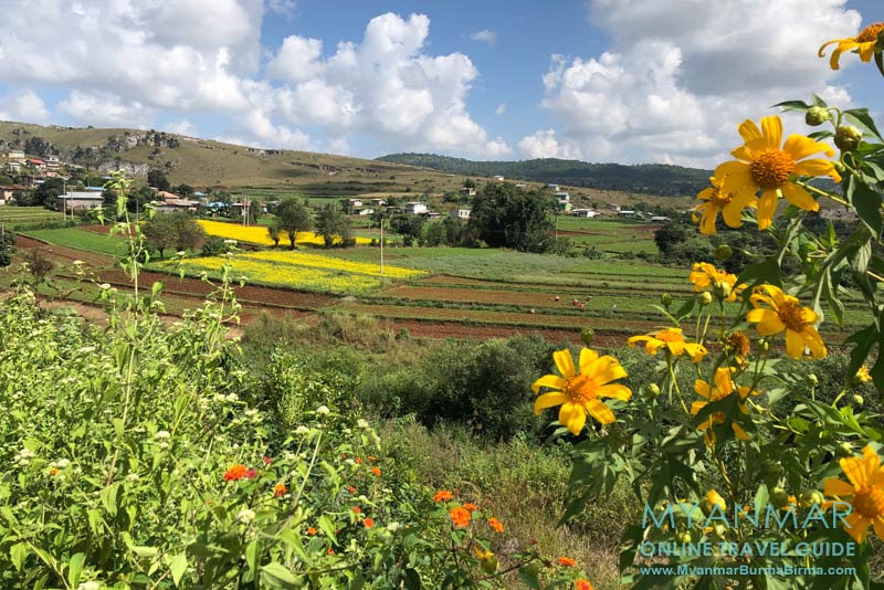 Myanmar Reisetipps | Umgebung von Kalaw | Felder an der Straße Kalaw-Loikaw
