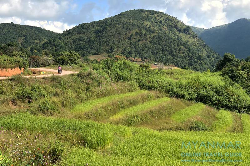 Myanmar Reisetipps | Umgebung von Kalaw | Straße nach Kalaw