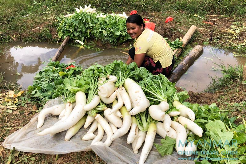Myanmar Reisetipps | Umgebung von Kalaw | Circle-Tour nahe Myin Daik