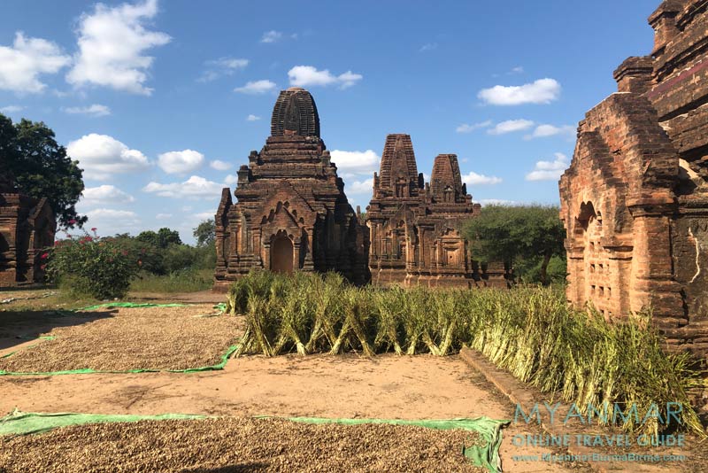 Alte Zedis aus der Bagan-Zeit im Süden von Salay
