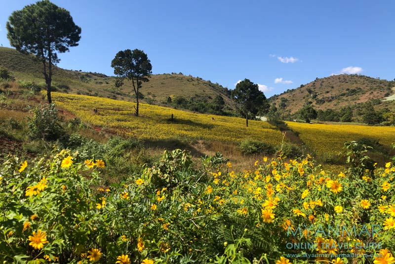 Myanmar Reisetipps | Bahnfahrt vom Inle-See nach Kalaw