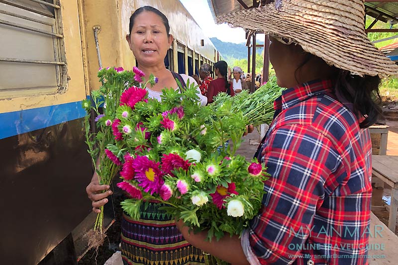Myanmar Reisetipps | Bahnfahrt von Thazi nach Kalaw: Bahnhof in Myin Daik