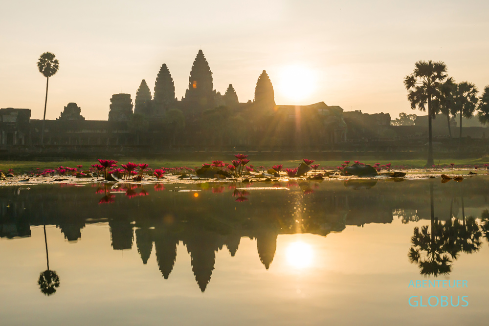 Tipps rür Angkor und Siem Reap: Sonnenaufgang am Seerosenteich im Angkor Wat. 