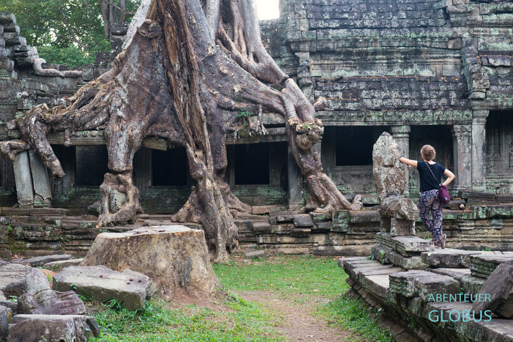 Tempel Preah Khan in Angkor: Gigantische Wurzeln der Kapokbäume erobern die Mauern.