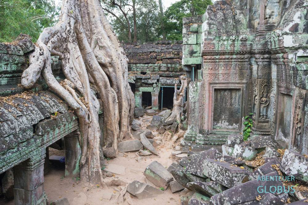 Kambodscha, Angkor, König Jayarvarman VII. widmete den buddhistischen Klosterkomplex Ta Prohm seiner Mutter.
