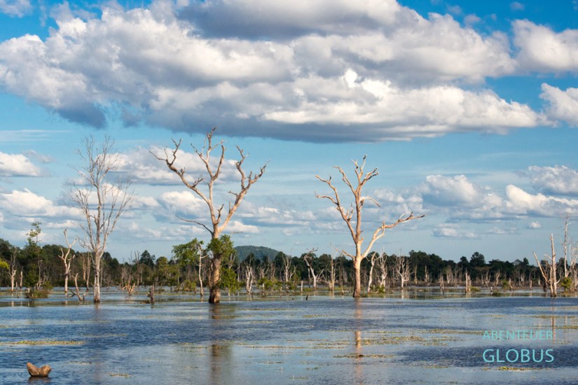 Über dieses Wasserreservoir führt ein Dammweg zum Neak-Pean-Tempel.