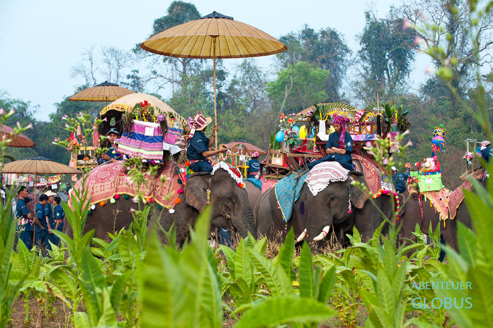 Das größte Elefantenfest in Laos findet jedes Jahr in der Provinz Sayaboury statt. Vor dem Start der Prozession durch das Elefantendorf Vieng Keo treffen sich die Mahuts mit ihren geschmückten Arbeitselefanten.