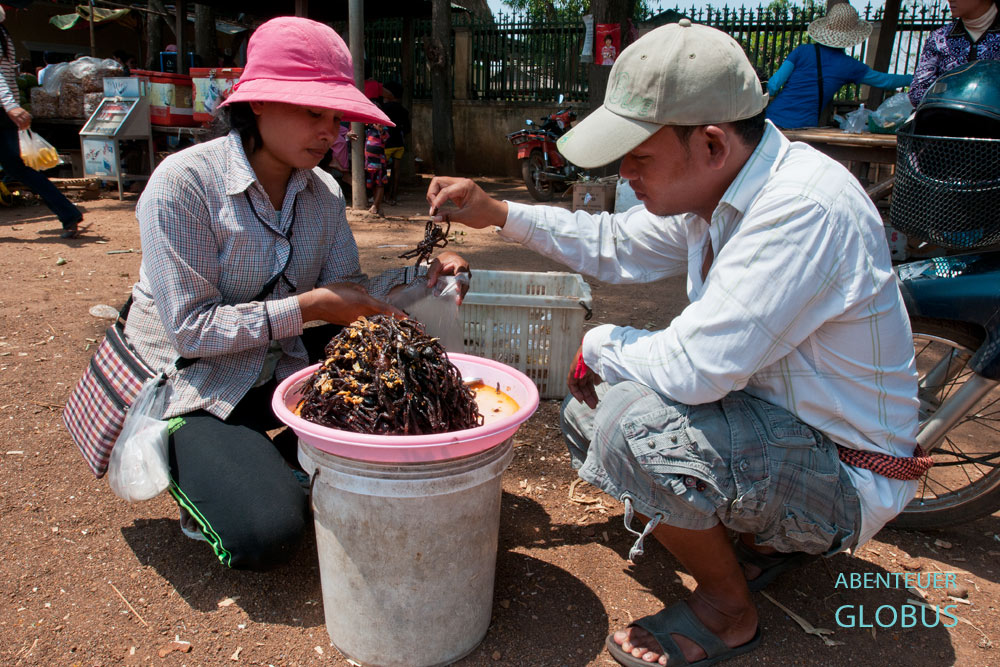 Kambodscha, Skoun, Kambodschaner lieben frittierte Vogelspinnen.