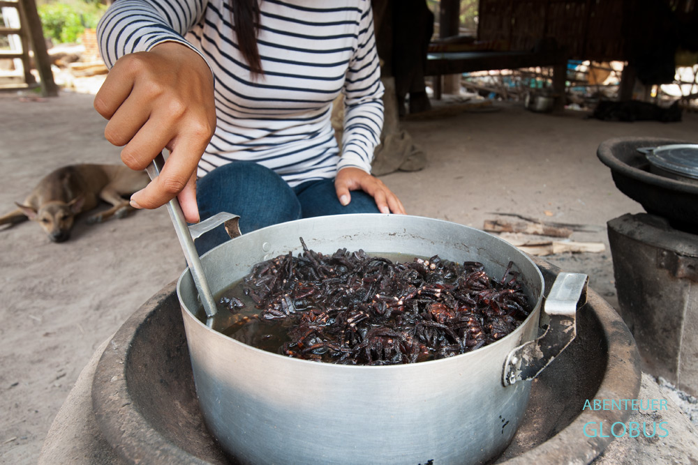 Rezept für frittierte Vogelspinnen in Kambodscha. Bevor die Vogelspinnen frittiert werden, kommen sie in den Kochtopf zum Garen.