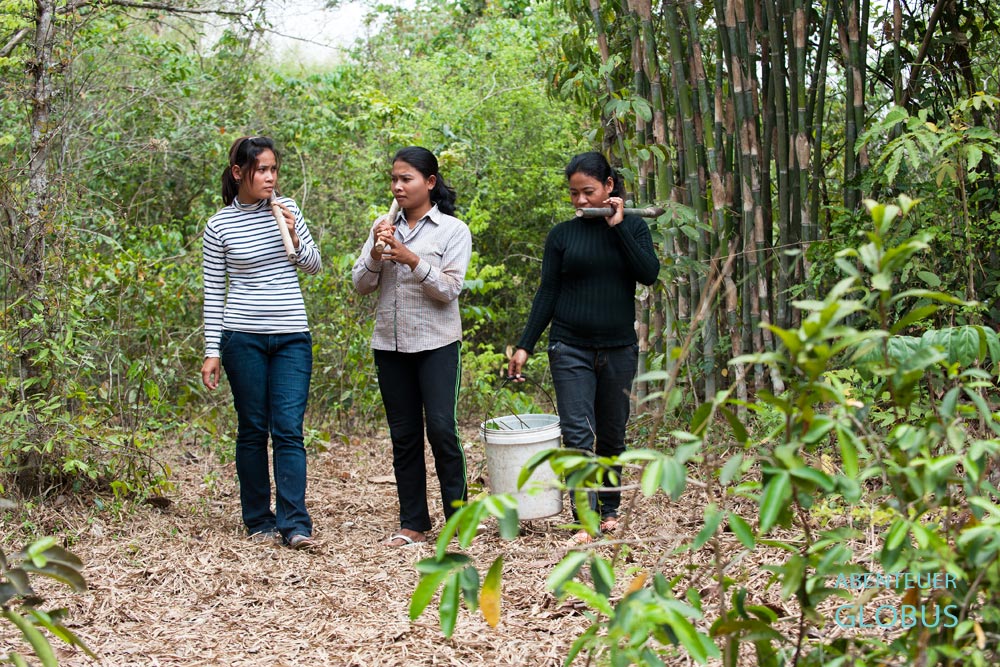 Spinnenjägerinnen Shin, Win und Shouk helfen sich gegenseitig die Spinnen im Bambudwald zu fangen.