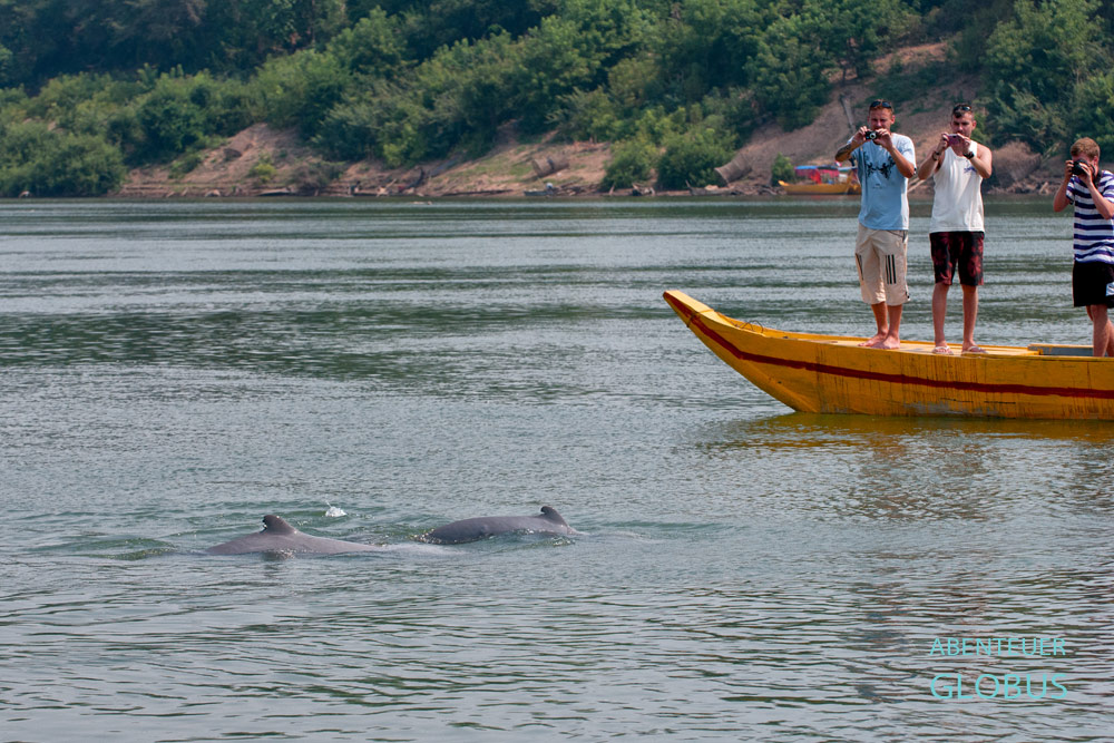 Touristen beobachten vom Boot Irrawaddy-Delfine im Mekong in Kampi