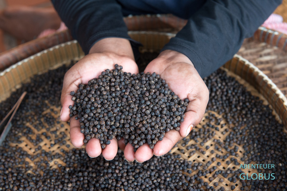 Kambodscha, Kep, Sortierte Pfefferkörner