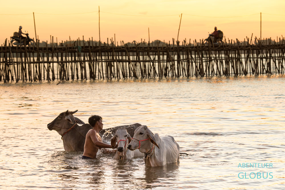 Die 600 Meter lange Bambusbrücke verbindet Kampong Cham mit der Insel Koh Pbain.