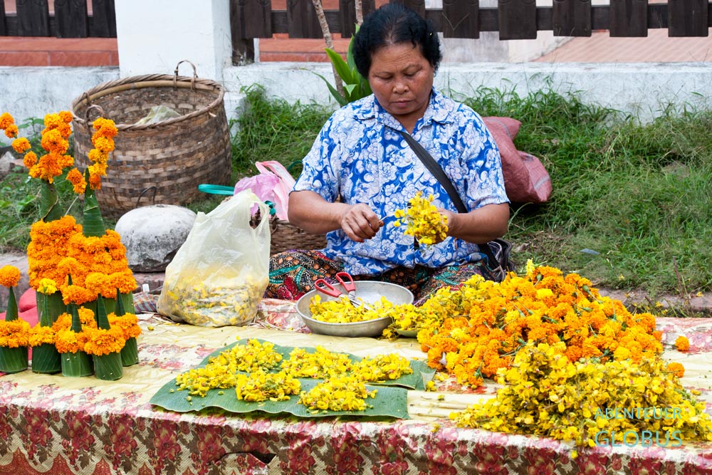 Morgenmarkt Talat Tha Heua In Luang Prabang. Vor buddhistischen Feiertagen steigt bei den Blumenverkäuferinnen der Umsatz mit orangefarbenen Tagetes (Studentenblume).
