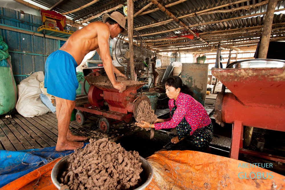 Im Mekong-Delta in Vietnam gibt es viele Fischfarmen, die den Pangasius züchten. Der beliebte Speisefisch bekommt einen Mix aus Fischabfällen, Fischmehl und Reisspreu.
