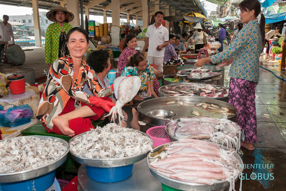 Vietnam, Fischmarkt in Vinh Long. Diese Tintenfische kommen aus Aquakulturen im Mekong-Delta.