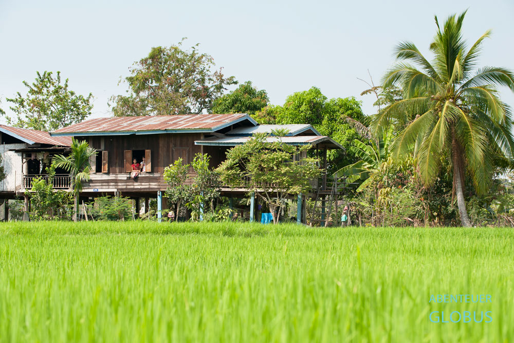 Si Phan Don (4.000 Inseln). Die Insulaner leben hauptsächlich vom Reisanbau und von der Fischerei.