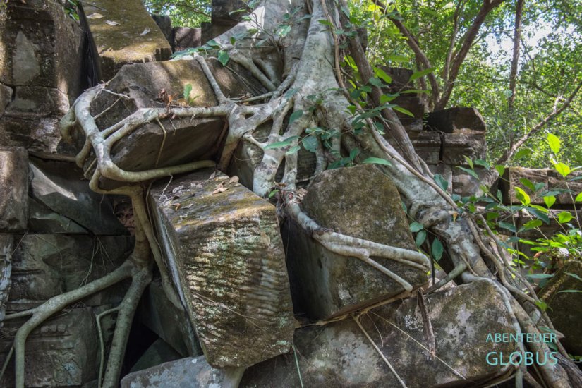 Kambodscha, Tempel Beng Mealea steht seit 1992 auf der Liste des UNESCO-Weltkulturerbes.