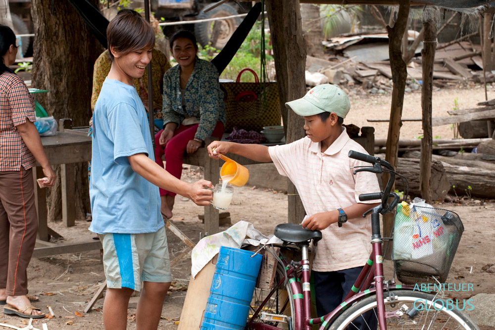 Kambodscha, Zuckerpalmen, Palmwein entsteht aus vergorenen Palmsaft.