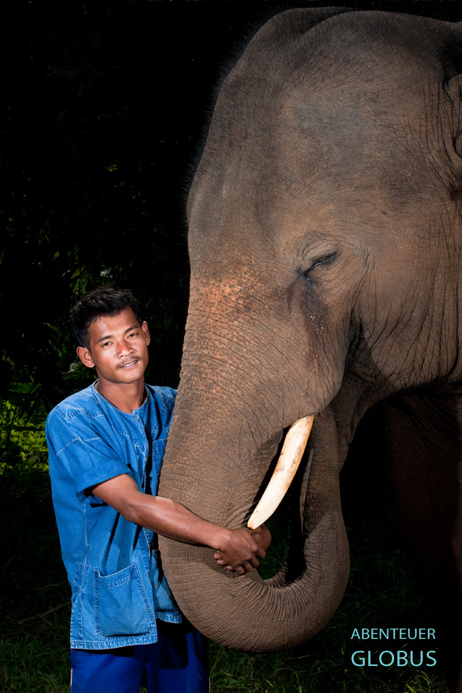 Der Mahut Khan und Elefant Pepsi leben im Anantara Elefantencamp im Goldenen Dreieck in Thailand.