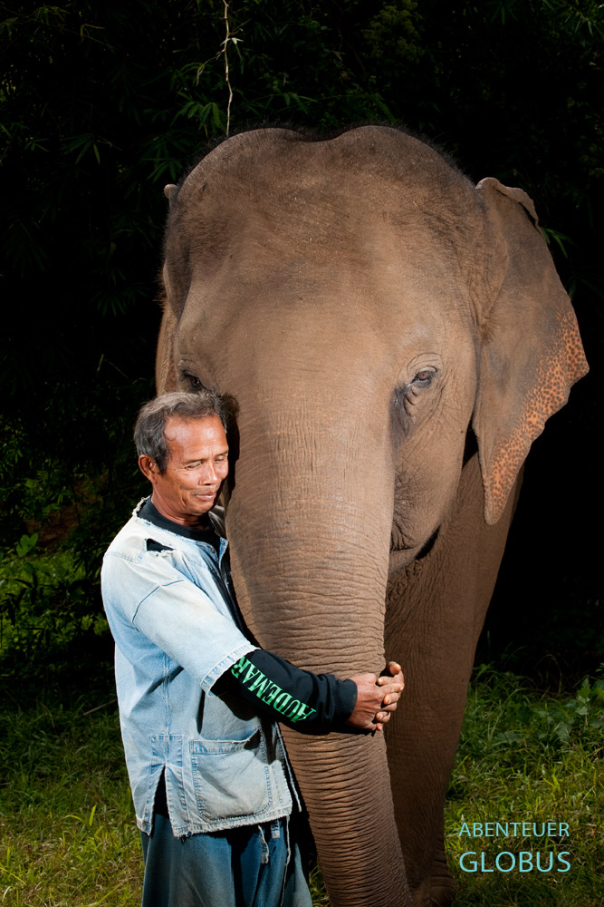 Liebevoll umarmt Mahut In seinen Elefant Bua Tong im Anantara Elefantencamp im Goldenen Dreieck in Thailand.