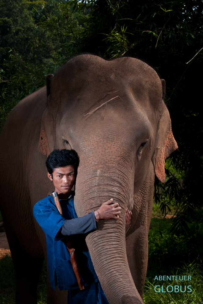 Elefant Bo wird von seinem Mahut (Elefantenführer) Kejo am Rüssel umarmt.