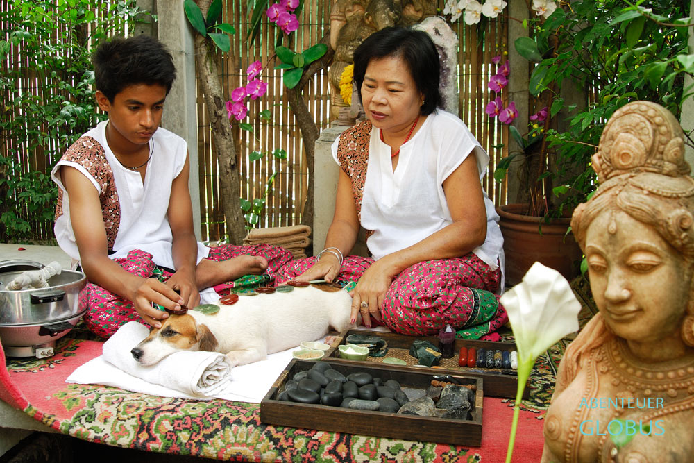 Im Indo Thai Dog Spa in Thailand erhält der Jack Russel Terrier Lucky eine Massage mit heißen Steinen.